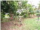 49 Soldiers Road, Bowen QLD 4805