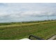Grazing Land, Telegraph Road, Bowen QLD 4805
