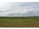 Grazing Land, Telegraph Road, Bowen QLD 4805