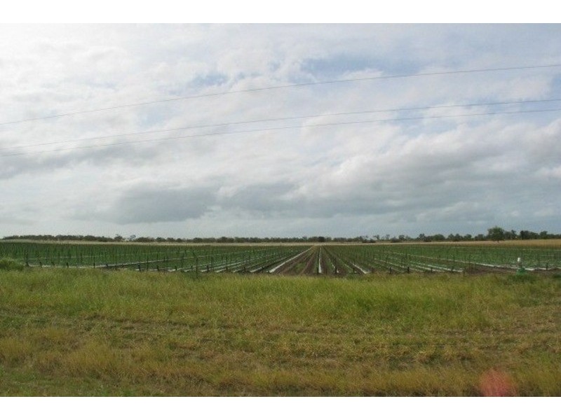 Grazing Land, Telegraph Road, Bowen QLD 4805