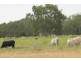 Grazing Land, Telegraph Road, Bowen QLD 4805