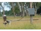 Grazing Land, Telegraph Road, Bowen QLD 4805