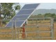 Grazing Land, Telegraph Road, Bowen QLD 4805