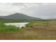 Grazing Land, Telegraph Road, Bowen QLD 4805