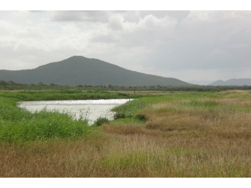 Grazing Land, Telegraph Road, Bowen QLD 4805
