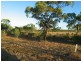 Lot 15 Brampton Drive, Bowen QLD 4805