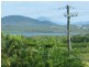 122 Powell Street, Bowen QLD 4805