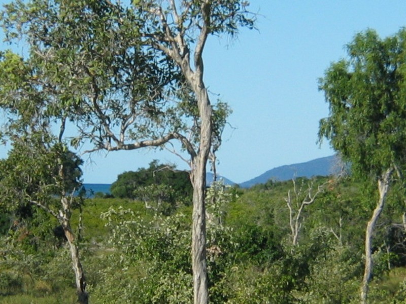 Lot 24 Adelaide Terrace, Bowen QLD 4805
