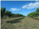 Lot 3 Kelsey Road, Bowen QLD 4805