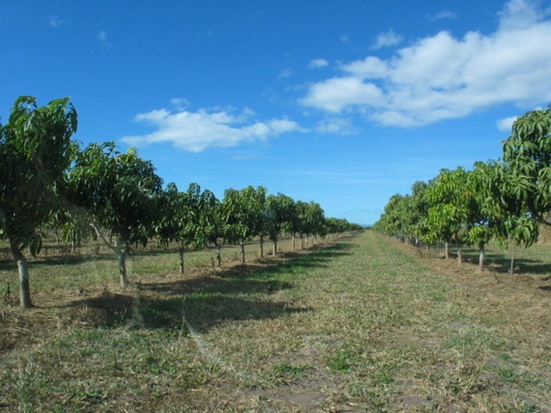 Lot 3 Kelsey Road, Bowen QLD 4805