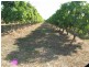 Lot 3 Kelsey Road, Bowen QLD 4805