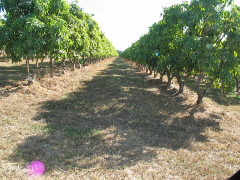 Lot 3 Kelsey Road, Bowen QLD 4805