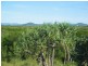 4/7 Lotus Lane, Bowen QLD 4805