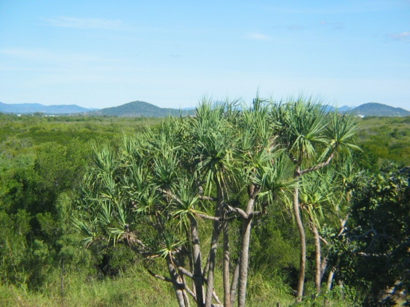 4/7 Lotus Lane, Bowen QLD 4805