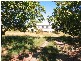 91 Railway Road, Bowen QLD 4805