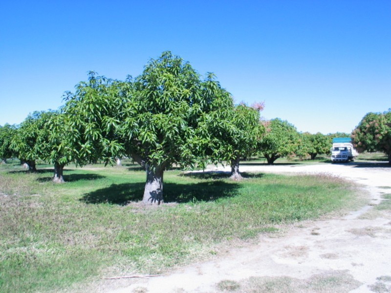 Lot 1 Millers Lane, Bowen QLD 4805