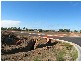 Lot 40 Lemon Grove, Bowen QLD 4805