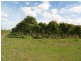 171 Telegraph Road, Bowen QLD 4805