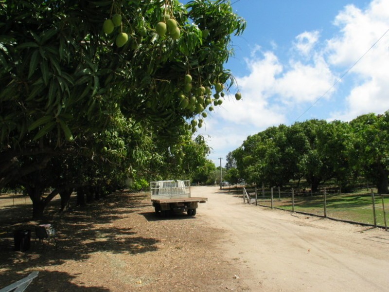 29 Telegraph Road, Bowen QLD 4805