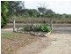 29 Telegraph Road, Bowen QLD 4805