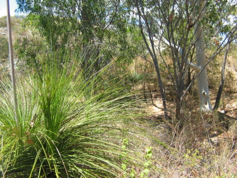 37 Brampton Drive, Bowen QLD 4805