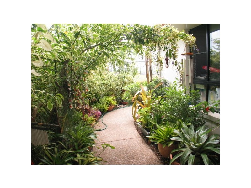 1 Kirkpatrick Court, Bowen QLD 4805