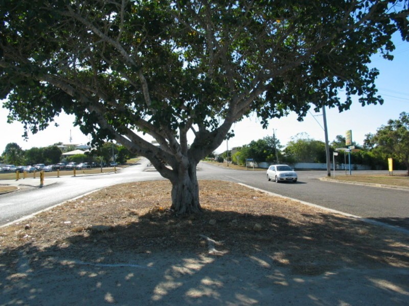 48 Gregory Street, Bowen QLD 4805