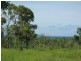 Lot 10 Africandar Road, Bowen QLD 4805