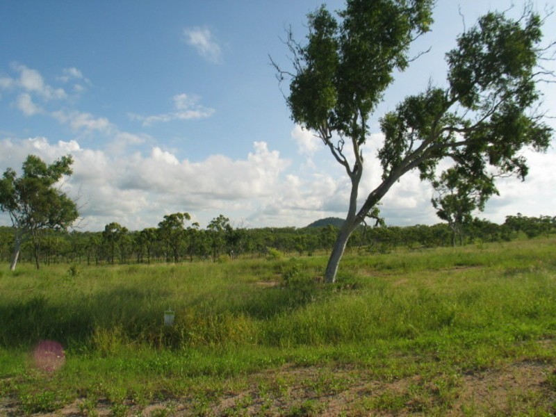 Lot 22 Casuarina Heights Estate, Bowen QLD 4805