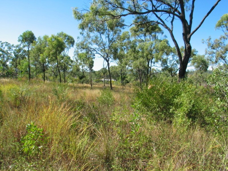 Lot 10 Africandar Road, Bowen QLD 4805