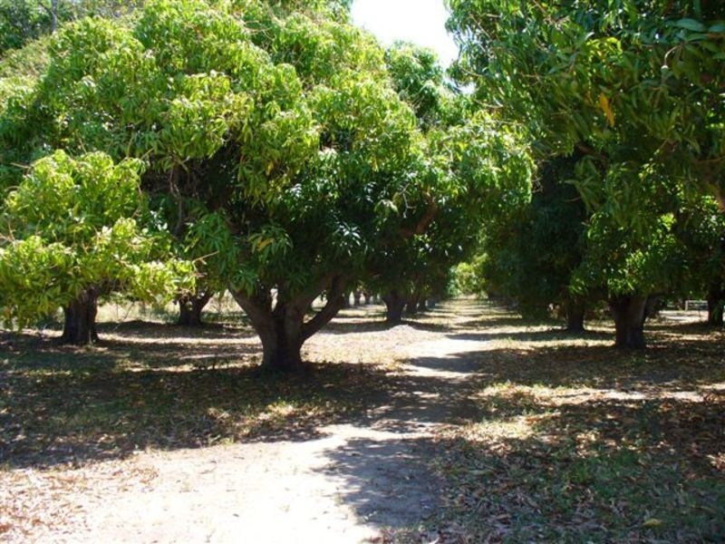 39 Telegraph Road, Bowen QLD 4805