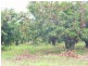 Lot 1 & 3 Kelsey Road, Bowen QLD 4805
