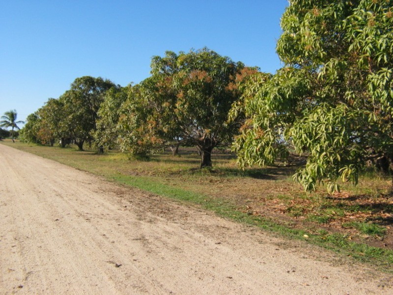 175 Inverdon Road, Bowen QLD 4805