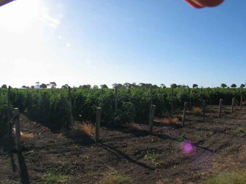 158 Flemington Road, Bowen QLD 4805