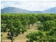 19161 Bruce Highway, Bowen QLD 4805