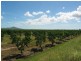 19161 Bruce Highway, Bowen QLD 4805