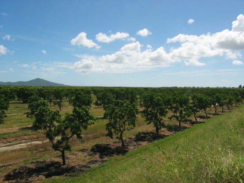 19161 Bruce Highway, Bowen QLD 4805