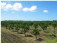 19161 Bruce Highway, Bowen QLD 4805