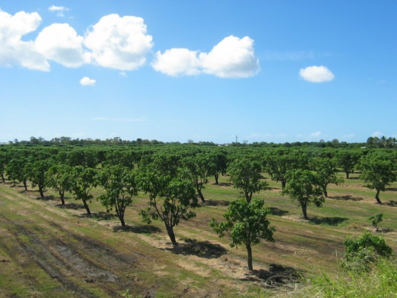 19161 Bruce Highway, Bowen QLD 4805
