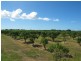 19161 Bruce Highway, Bowen QLD 4805