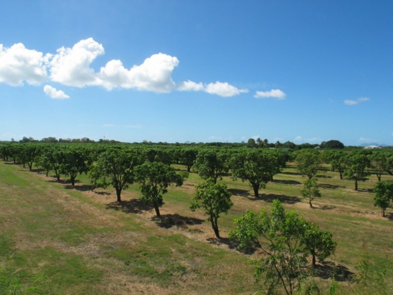 19161 Bruce Highway, Bowen QLD 4805