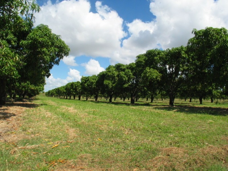 19161 Bruce Highway, Bowen QLD 4805