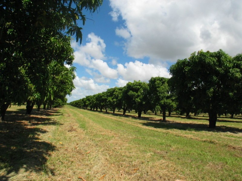 19161 Bruce Highway, Bowen QLD 4805