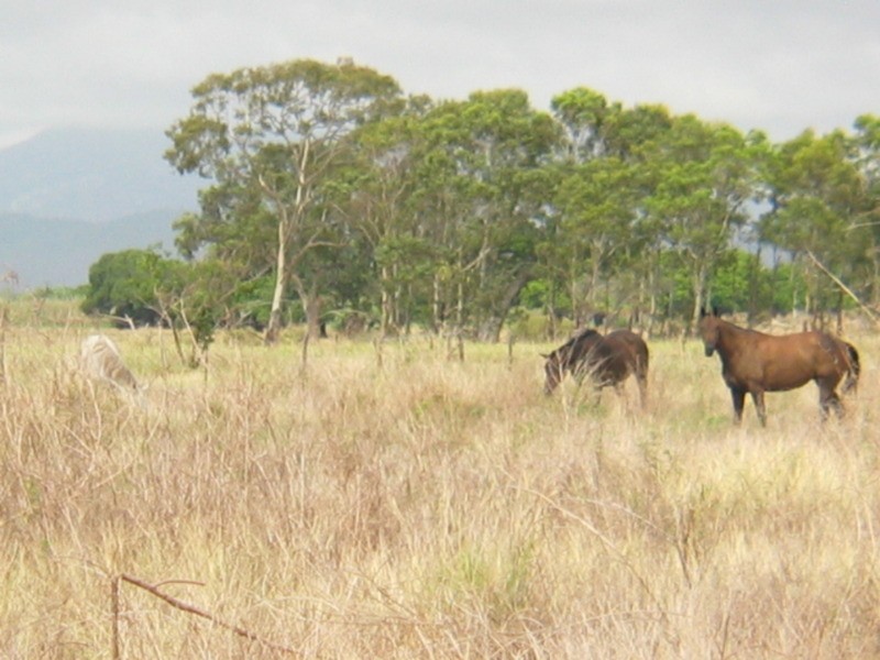 159 Inveroona Road, Bowen QLD 4805