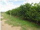 Lot 2 Railway Road, Bowen QLD 4805