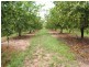Lot 2 Railway Road, Bowen QLD 4805