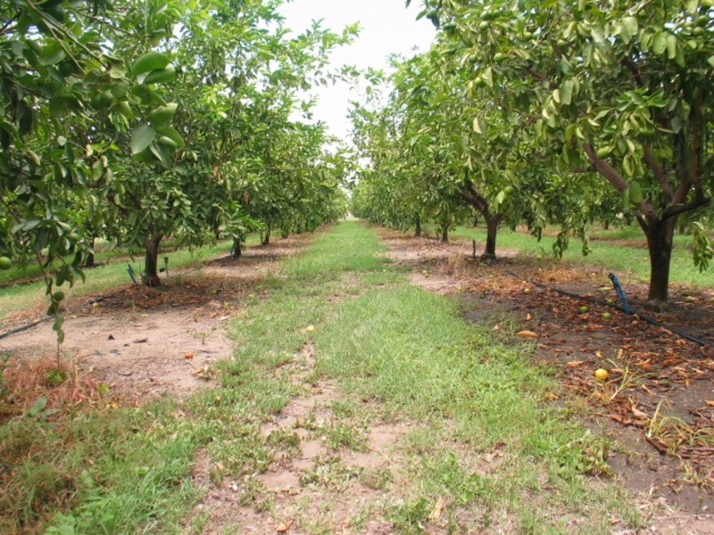Lot 2 Railway Road, Bowen QLD 4805