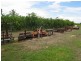 Lot 2 Railway Road, Bowen QLD 4805