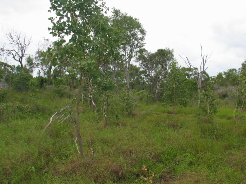 18039 Bruce Highway, Bowen QLD 4805