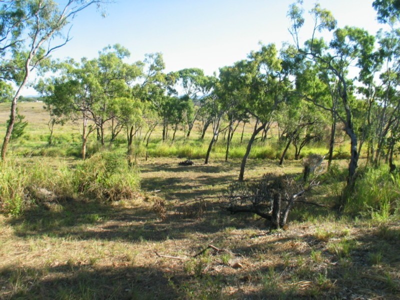 14 Craigie Court, Bowen QLD 4805